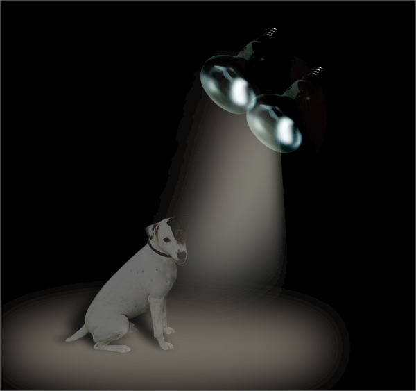 Gamma-Hund-2.jpg