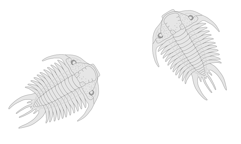 Trilobite
